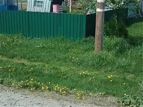 Свежие объявления в тогучине