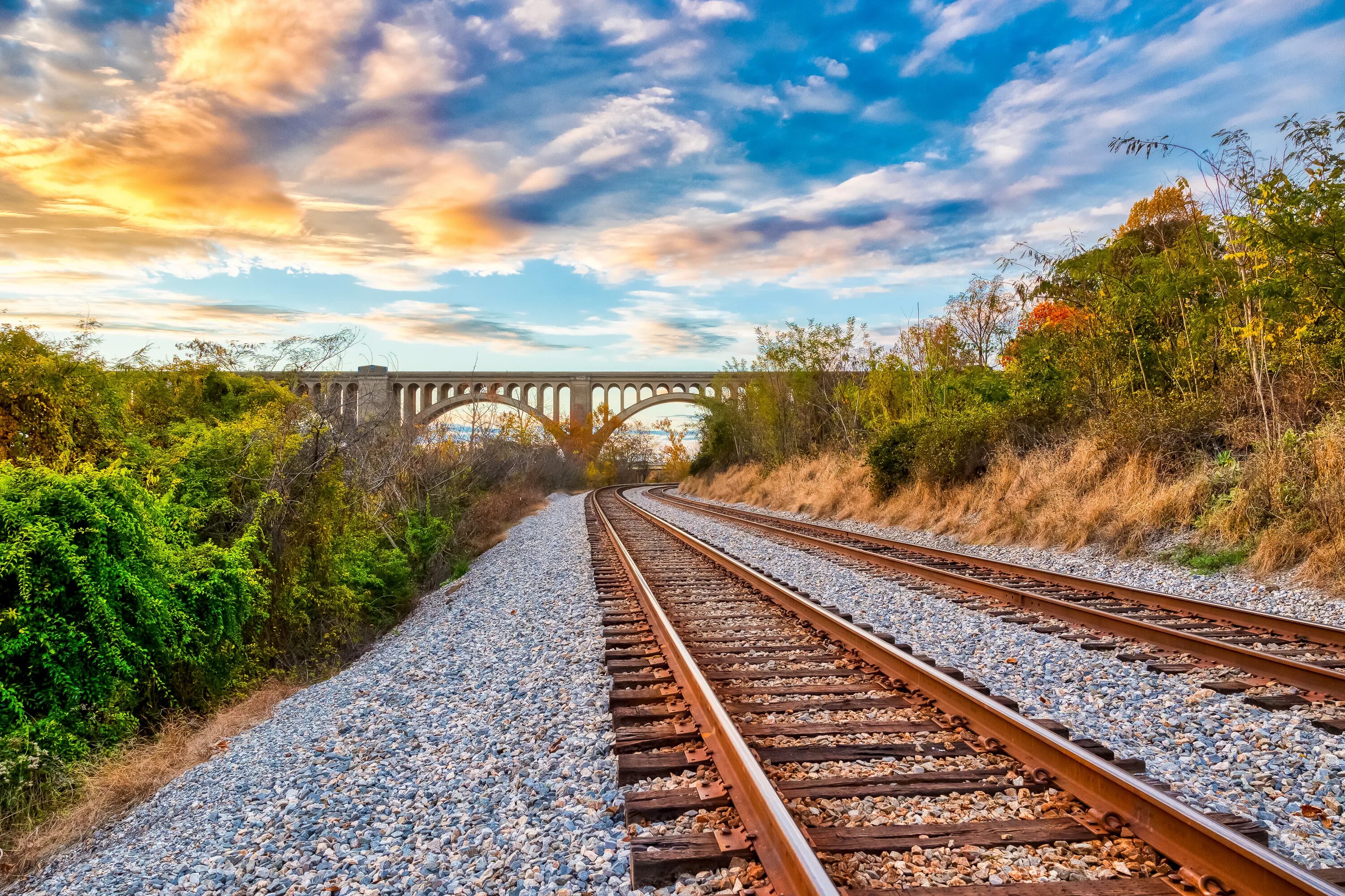 Vehicles Train River Forest Landscape Vehicle Locomotive Tree Mountain Wallpaper