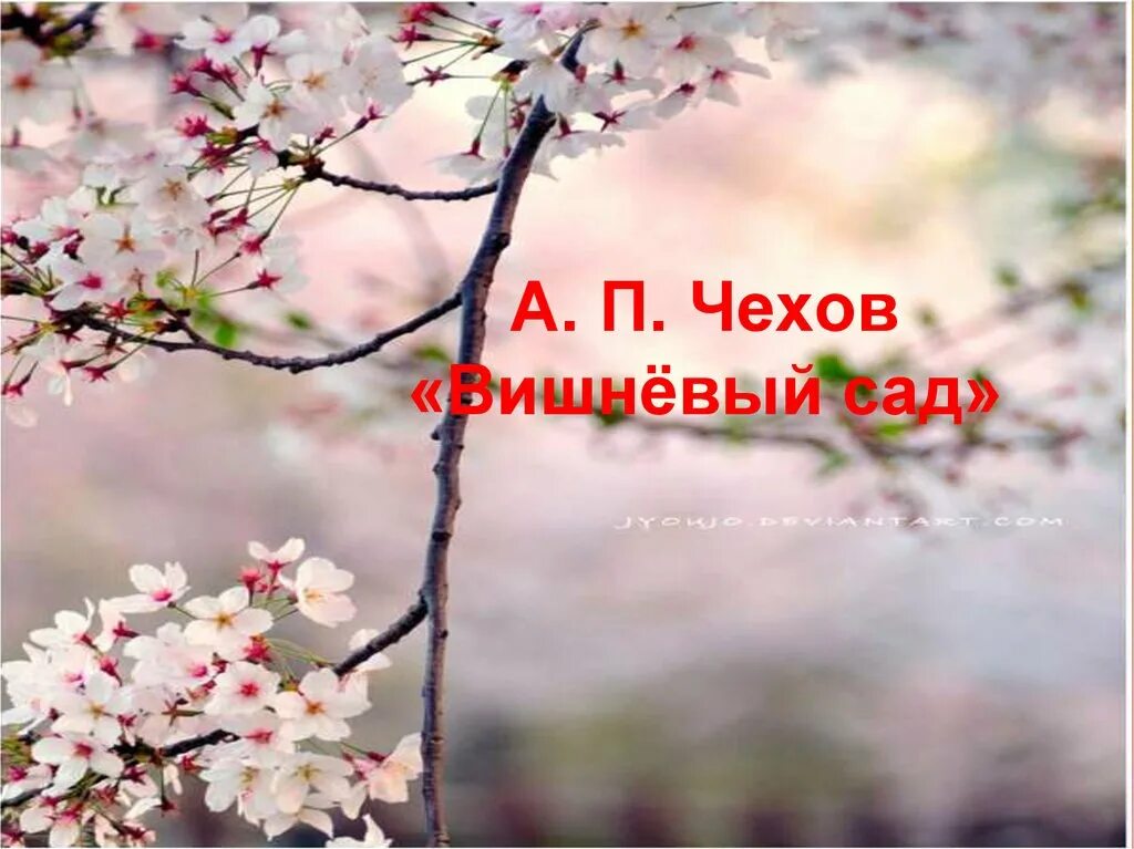 Почему в вишневом саду нет главного