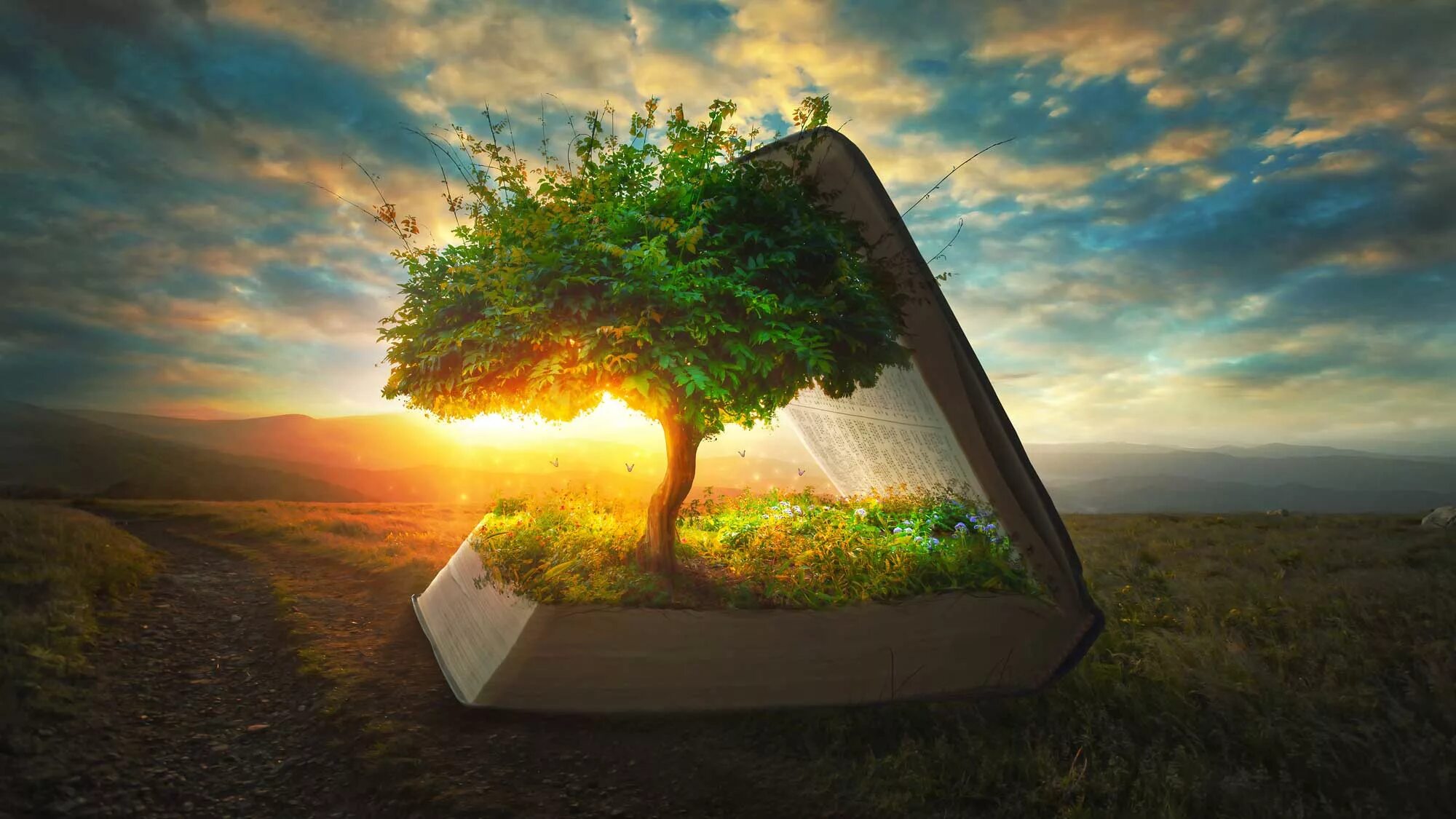Выбирайте дерево и живите. Дерево с книгами. Дерево познания. Дерево сознания. Дерево жизни.
