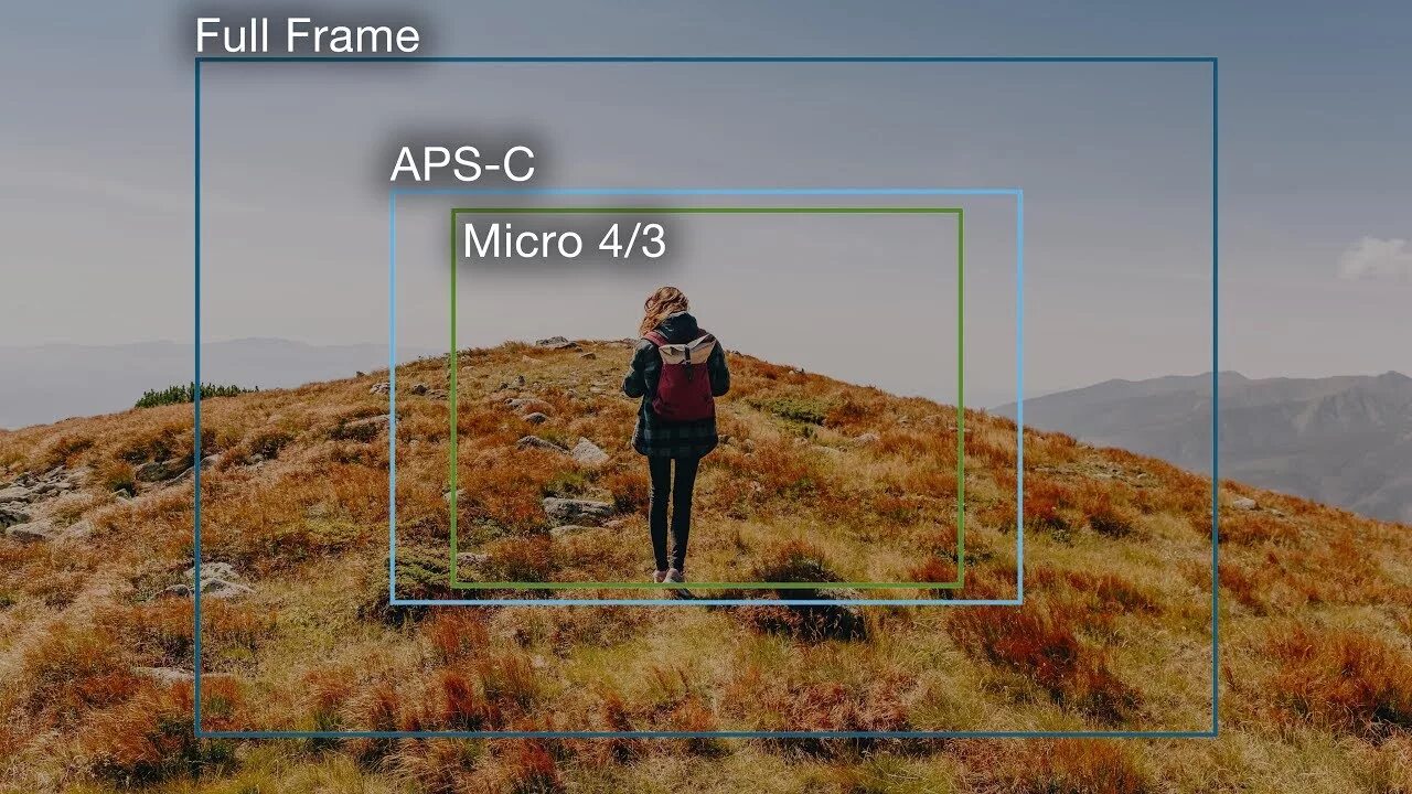 APS-C кроп. APS C матрица против Full frame. Micro 4/3 vs APS-C. APS-C кроп фактор.