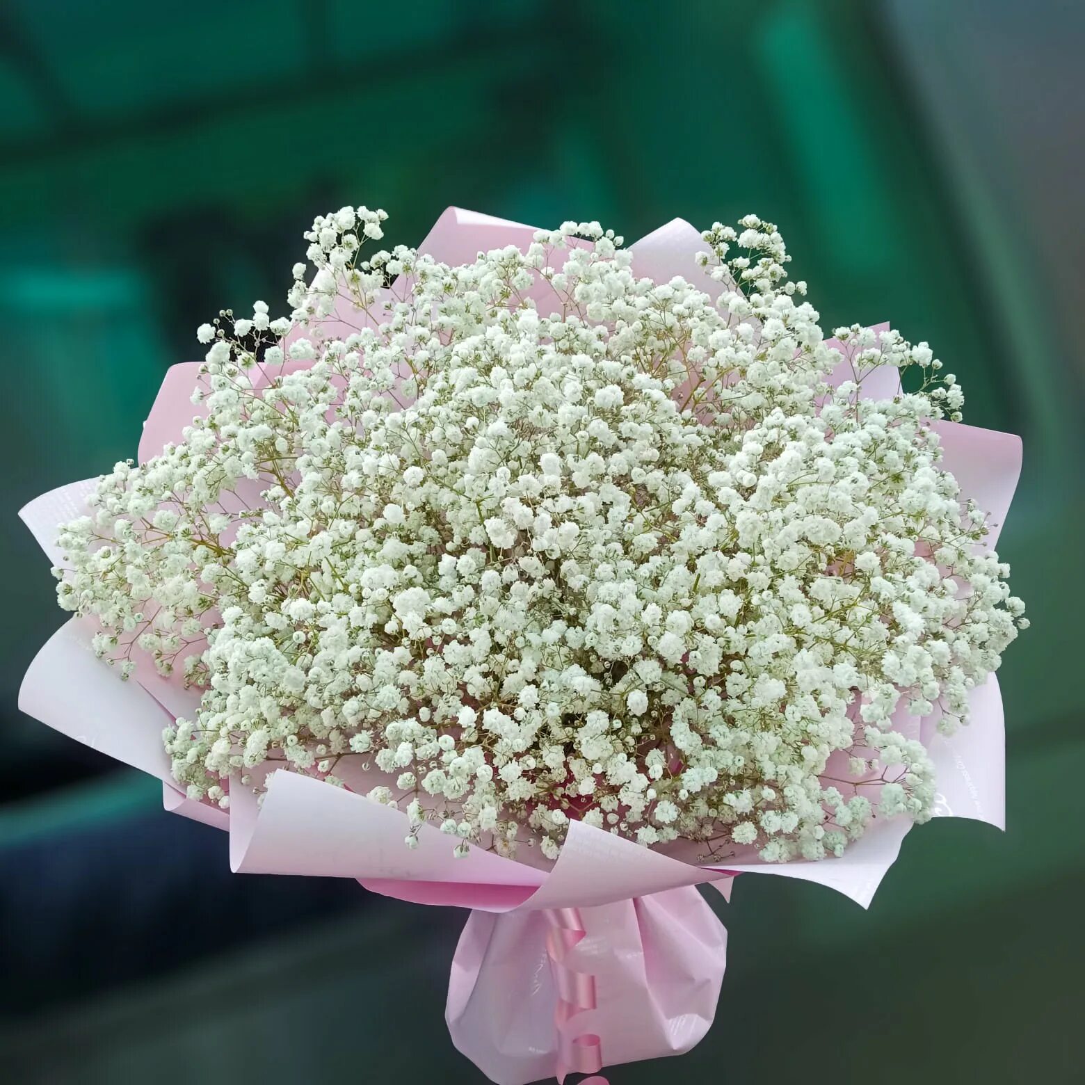 Гипсофила метельчатая сухоцвет. Гипсофила и эвкалипт. Букет невесты гипсофила. Гипсофила ампельная. Гипсофила арециевидная.