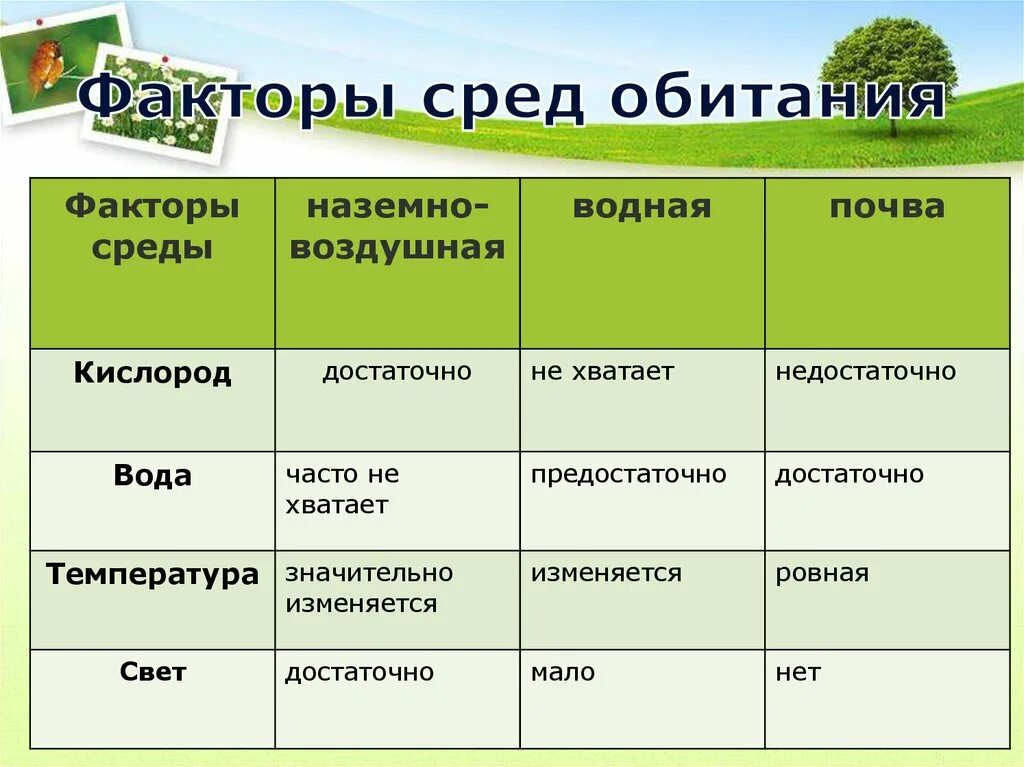 Среда обитания. Среда. Факторы среды обитания организмов. Факторы водной среды обитания. Тест по биологии почвенная среда обитания организмов