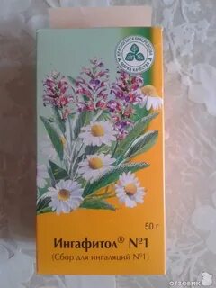 Какие травы от насморка