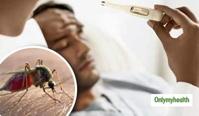 Последствия заболевания малярией. Лечение тяжелой тропической малярии