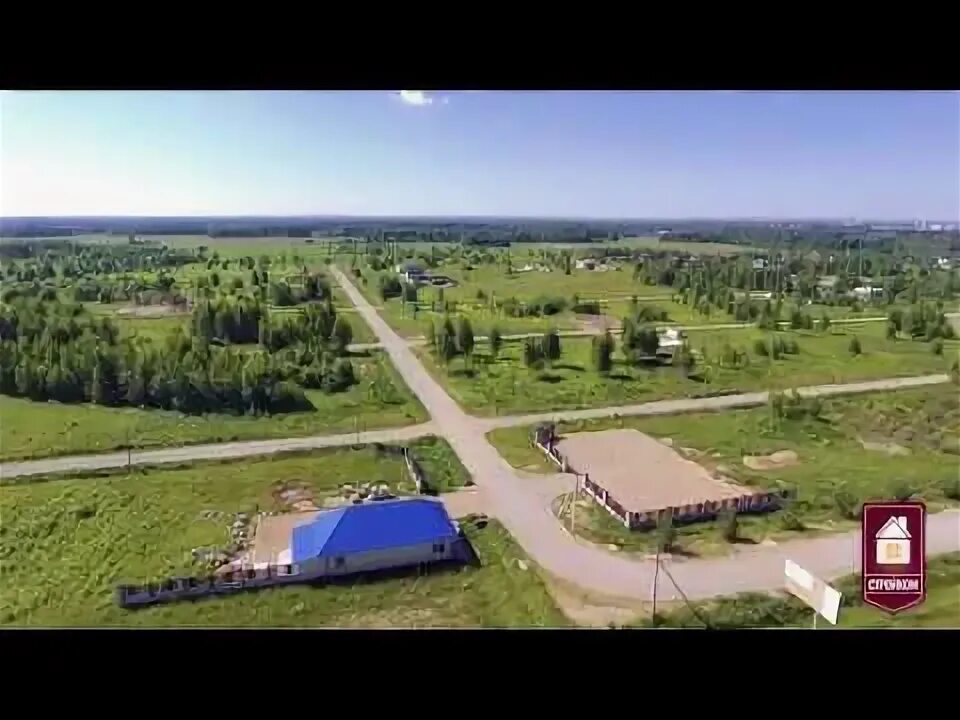 Поляна с васильками. Калининградская область ушаково васильковое поле. Васильковые поля ярославль коттеджный поселок. Васильково поле ярославль. Васильково поле крым.