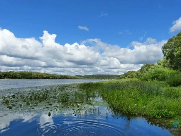 река ока алексин. река ока прончищево. река ока приложение. река ока приложение. река ока приложение.