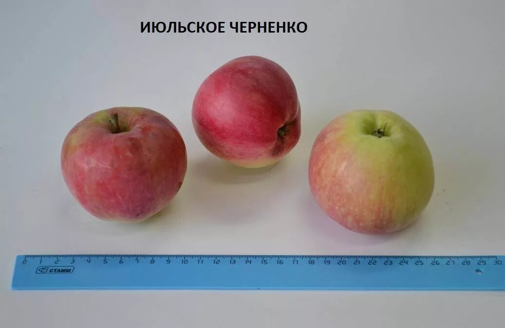 Замечание читателей про периодичность ЯБЛОНЬ, и повышение УРожая, и про возраст 