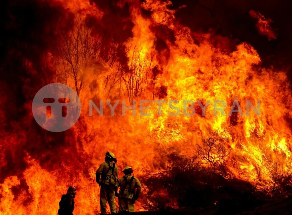 Огонь два дата выхода. Огонь войны. сильный огонь. пламя войны.