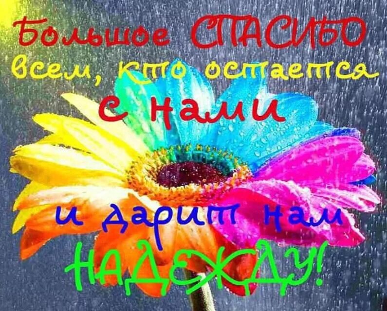 День благодарности отчет. Спасибо за помощь. Спасибо за поддержку. Благодарим за помощь. Спасибо большое за поддержку.