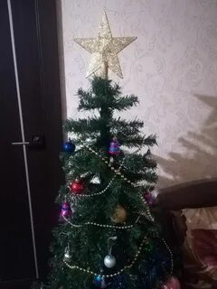 На макушке ели
