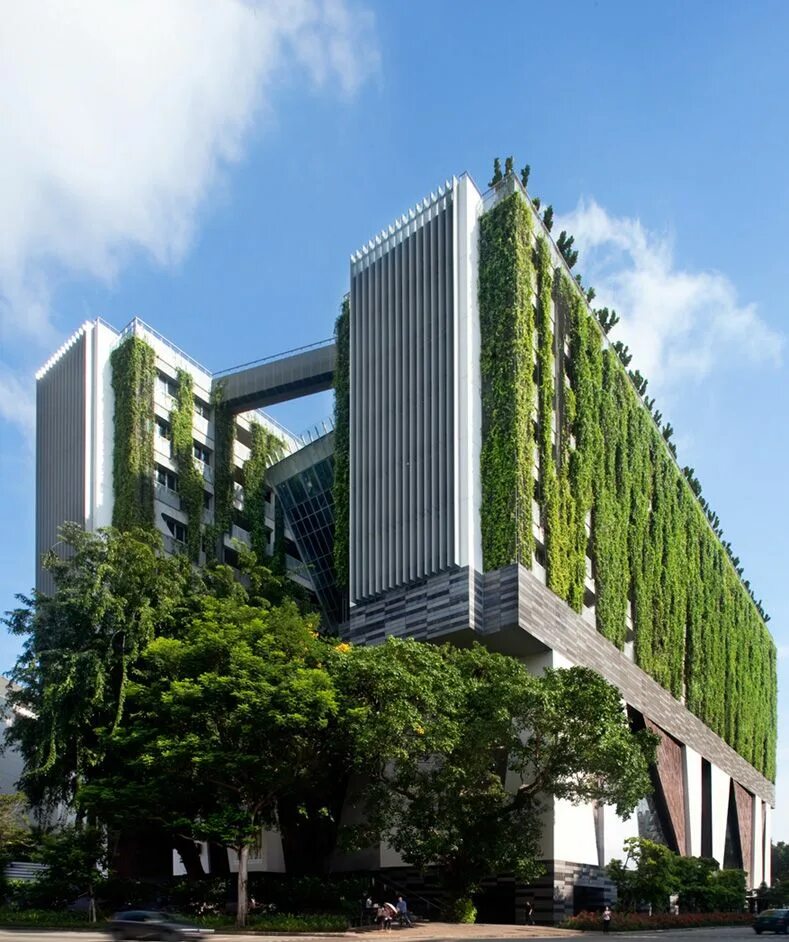 Building park