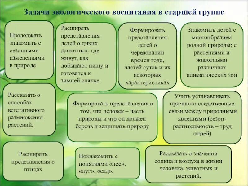 Образовательные задачи в старшей группе. Задачи экологического воспитания в старшей группе. Экологические понятия для дошкольников. Задания по экологическому воспитанию. Задачи развития экологии.