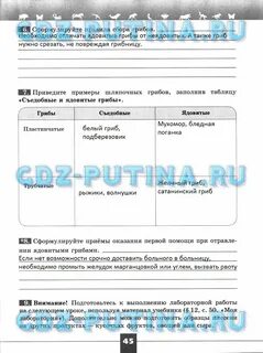 Моя лаборатория поставьте цель проведения измерения