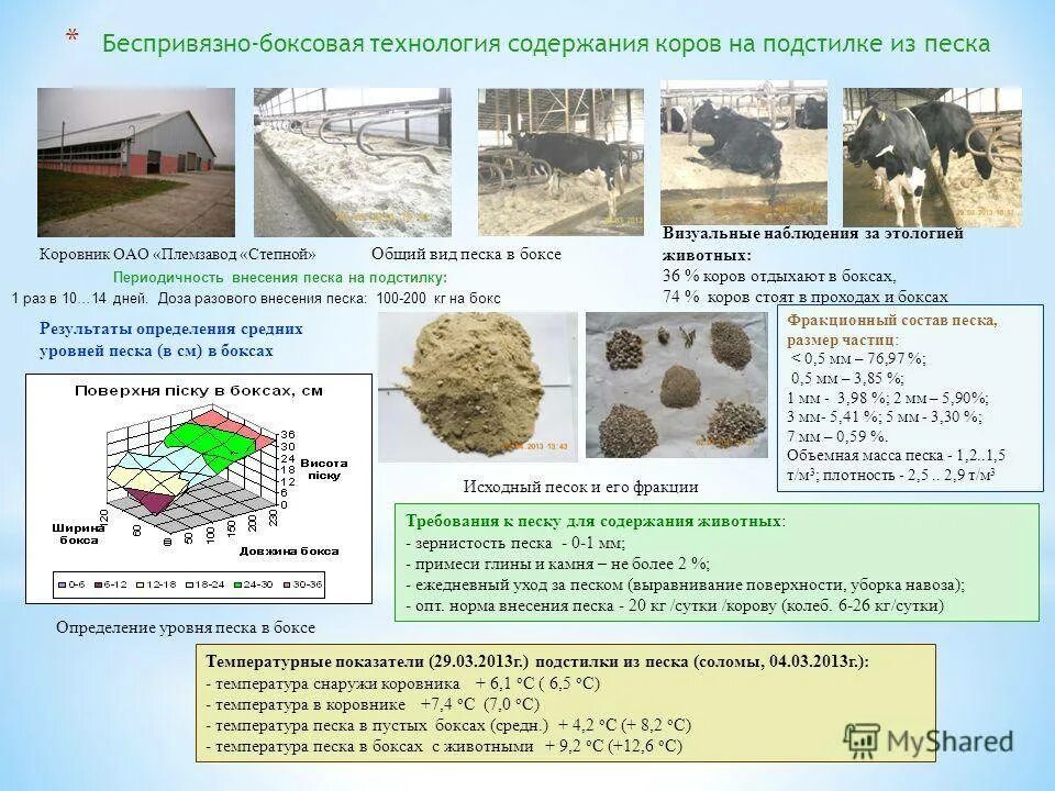 Технологические процессы содержания животных. Способы содержания коров схема. Технология содержания коров. Ферма беспривязного содержания коров. Технологическая схема содержания коров.