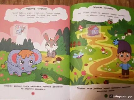 Два лета книга