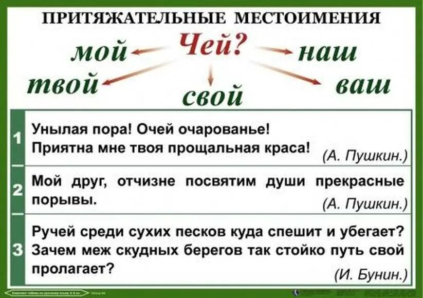 Подберите притяжательное местоимение. Притяжательные местоимения в русском языке таблица с примерами. Личные и притяжательные местоимения в русском. Притяжательные местоимения в русском языке таблица. Притяжательное местоимение примеры.