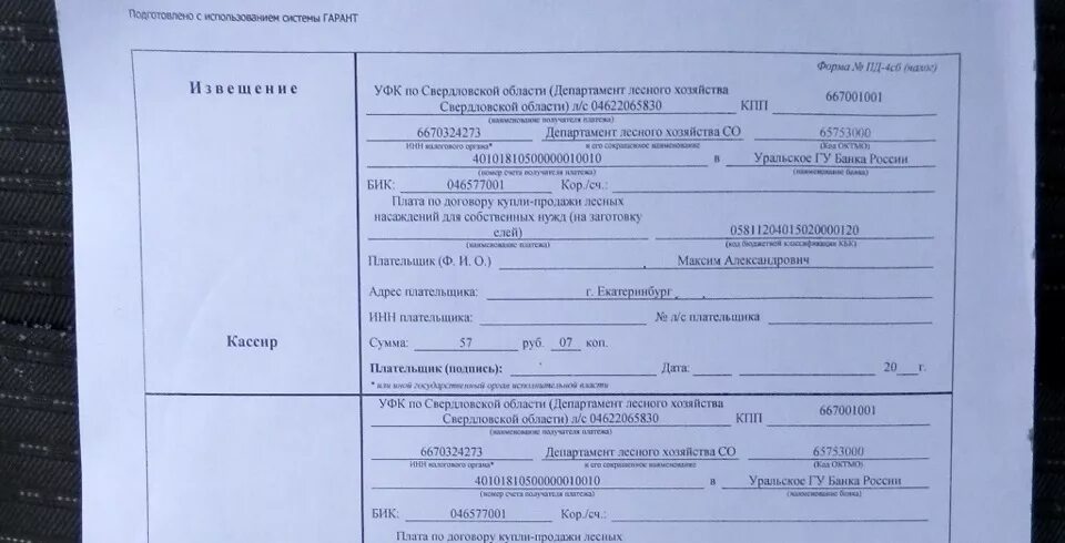 Госпошлина 300 рублей. Квитанция об оплате. Квитанция об оплате государственной пошлины. Квитанция об оплате госпошлины. Квитанция об уплате госпошлины.