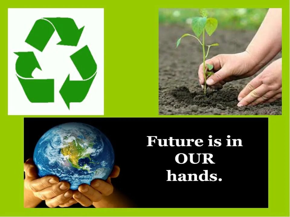 защита окружающей среды на английском языке. экологические проблемы англ яз. экологические проблемы на английском языке. окружающая среда на английском. тема экология на английском.