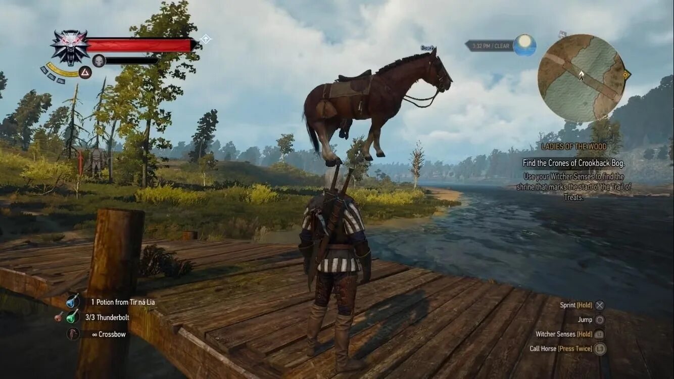 Карта плотва ведьмак 3 где. The witcher 3 плотва. ведьмак 3 плотва на крыше. плотва ведьмак 3. плотва конь ведьмака.