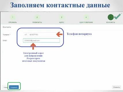 Обратившиеся контактные данные