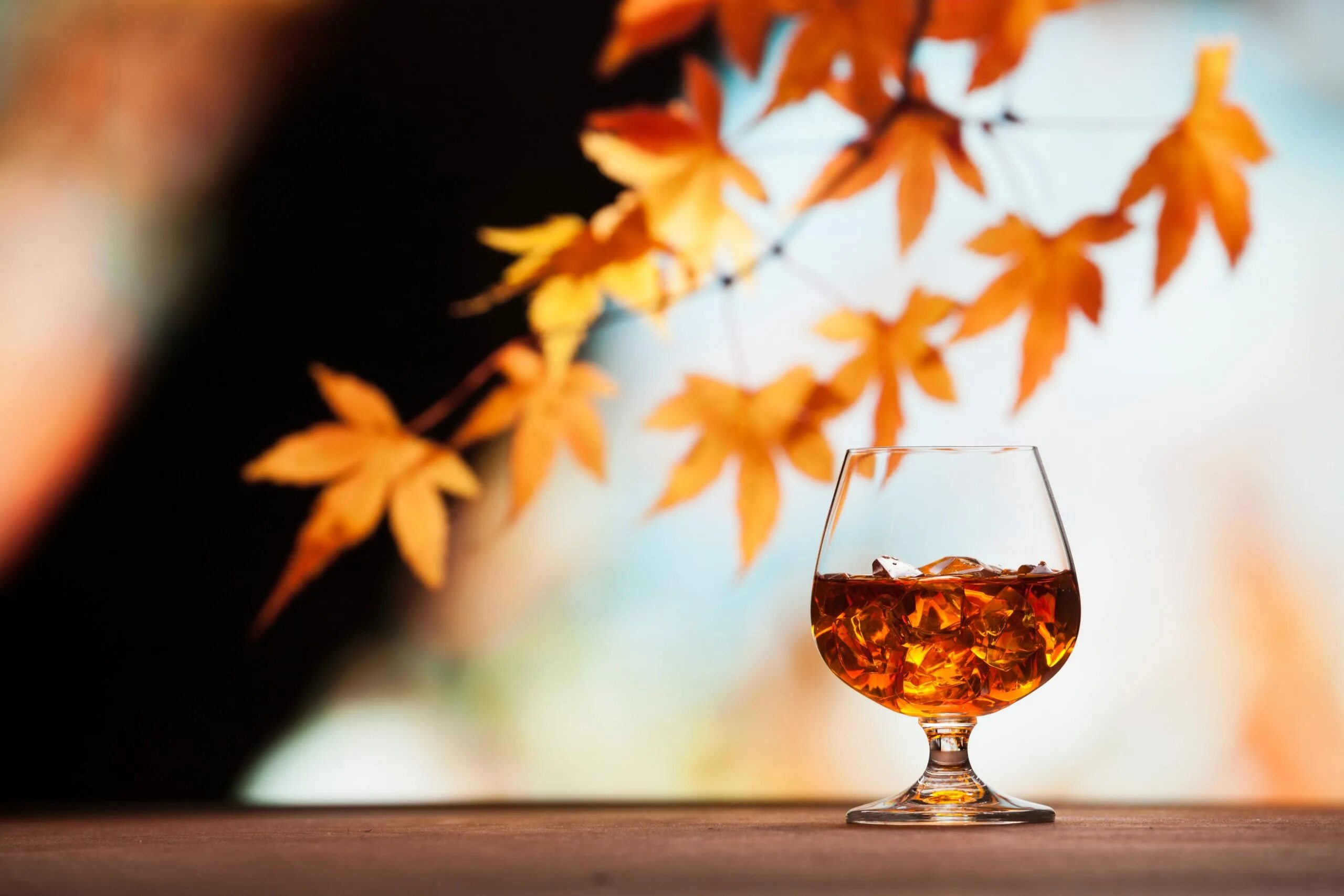 Осень коньяк. Осенний алкоголь. Бокал вина осень. Осенние коктейли. Пить коньяк тепло