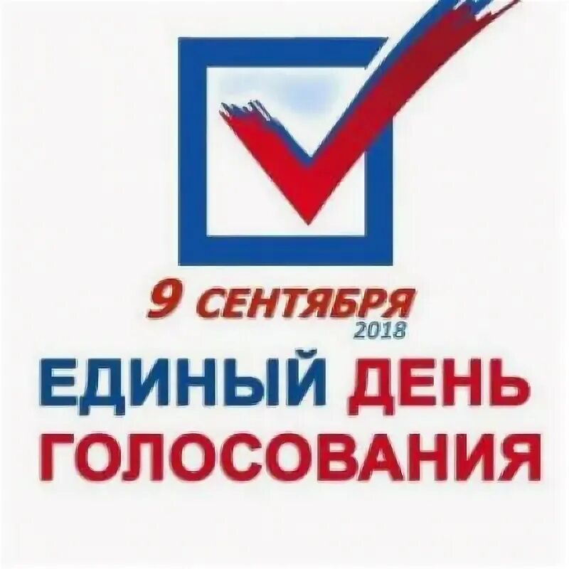 Новокузнецк проголосовал. Единый день голосования картинки. Ваш голос важен. Картинки молодой избиратель тебе исполнилось.