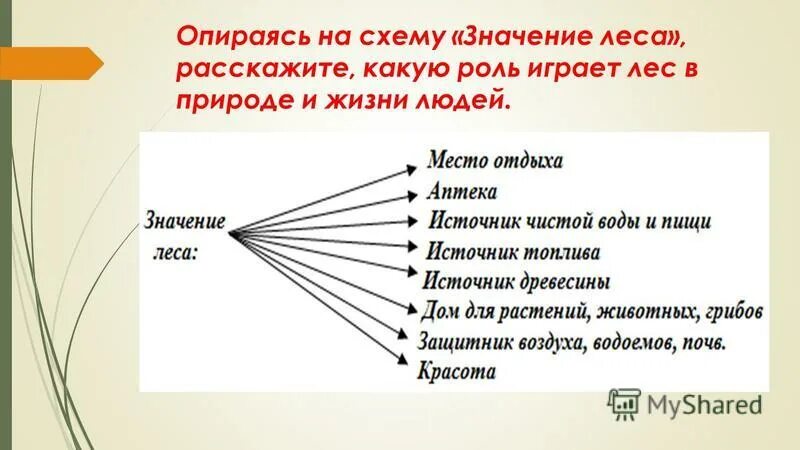 Значение леса в жизни человека. Роль леса в жизни человека. Схема значение леса. Роль леса в природе и жизни людей.