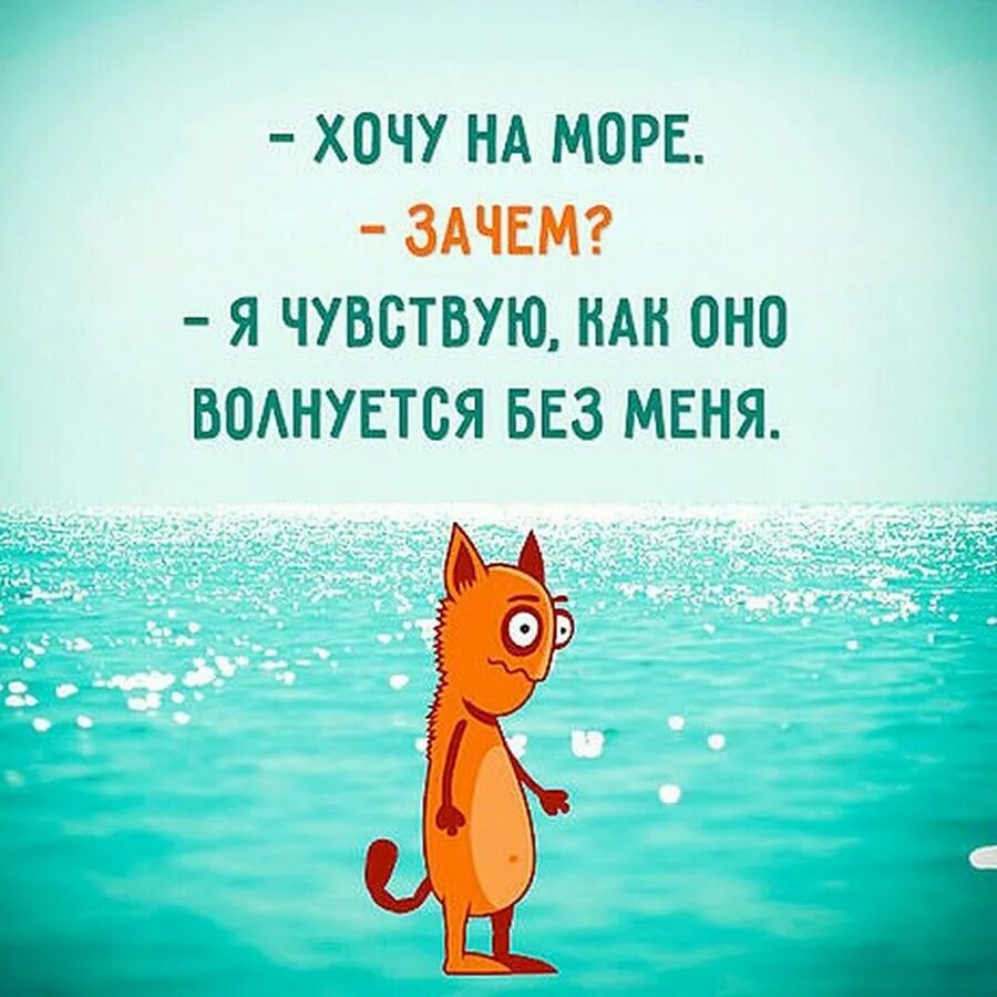 Хочу на прогулку. Хочу на прогулку