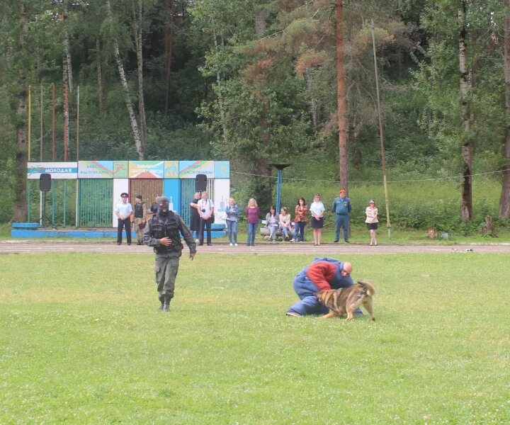 Дол ярославль. Дол молодая гвардия Ярославль. Пионерский лагерь молодая гвардия Казань. Горьковское шоссе лагерь молодая гвардия.