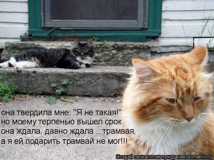 Открытки что делаешь прикольные. Пятница домой. Пришел совсем не какой. Кот несется. Пришел совсем не какой.