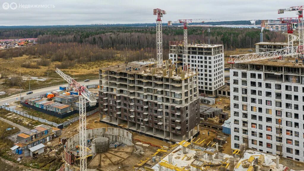Пик янинский лес корпус 9. Жк янинский лес. пик янинский лес. ген план застройки янинский лес пик в янино 1. жк янинский лес фото.