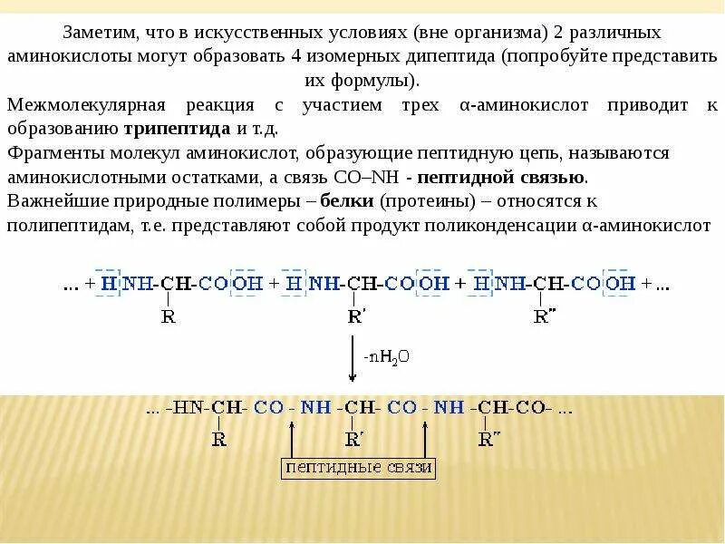 Образец дипептида природного происхождения