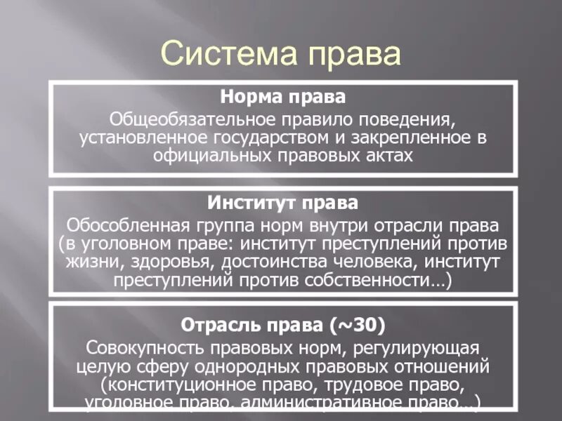 Процессуальная норма конституции рф