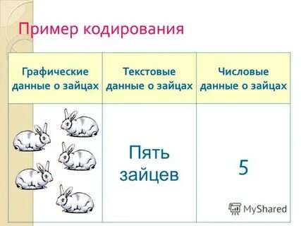 Plain text c