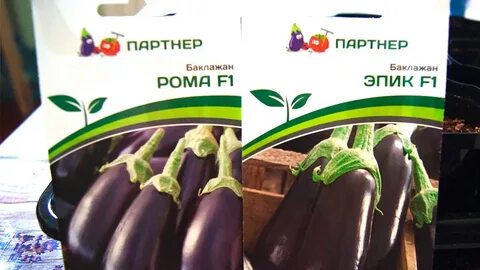 Баклажаны партнер