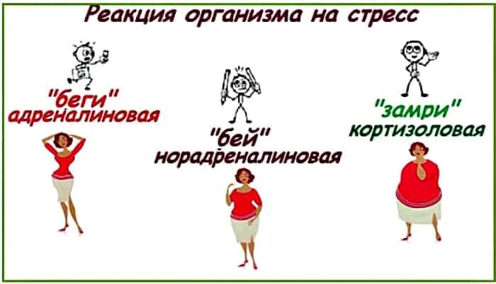 Беги или сражайся. Стресс бей беги замри. Реакция бей беги замри. Бороться бежать. Мозг бей беги замри.