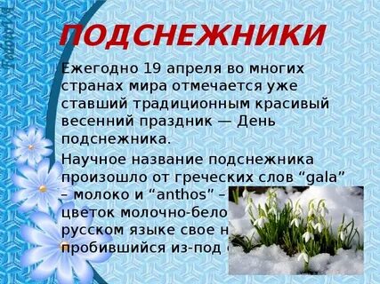 Весенние минусы