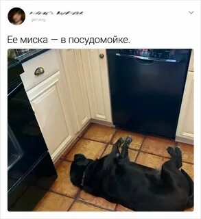 Неожиданный результат