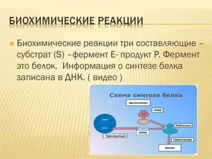Химические реакции протекающие в организме человека