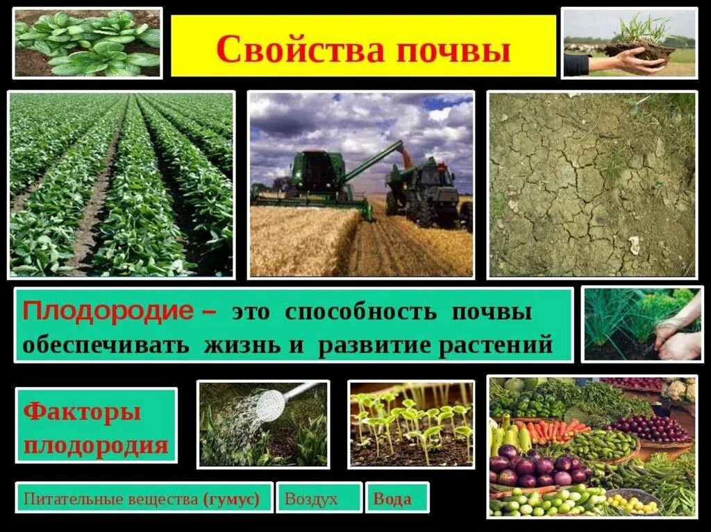 Способность почвы удовлетворять. Основное свойство почвы – плодородие. Обработка почвы. Важнейшие свойства почвы. Основное качества почевы. Основное свойство почвы плодородие.