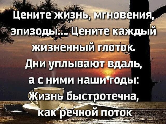 Фраза любите жизнь. Высказывания о быстротечности жизни. Цитаты о быстротечности жизни. Жизнь скоротечна цитаты. Фразы про ценить жизнь.