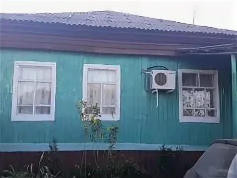 Авито елань волгоградская область животные. Авито елань волгоградская область животные