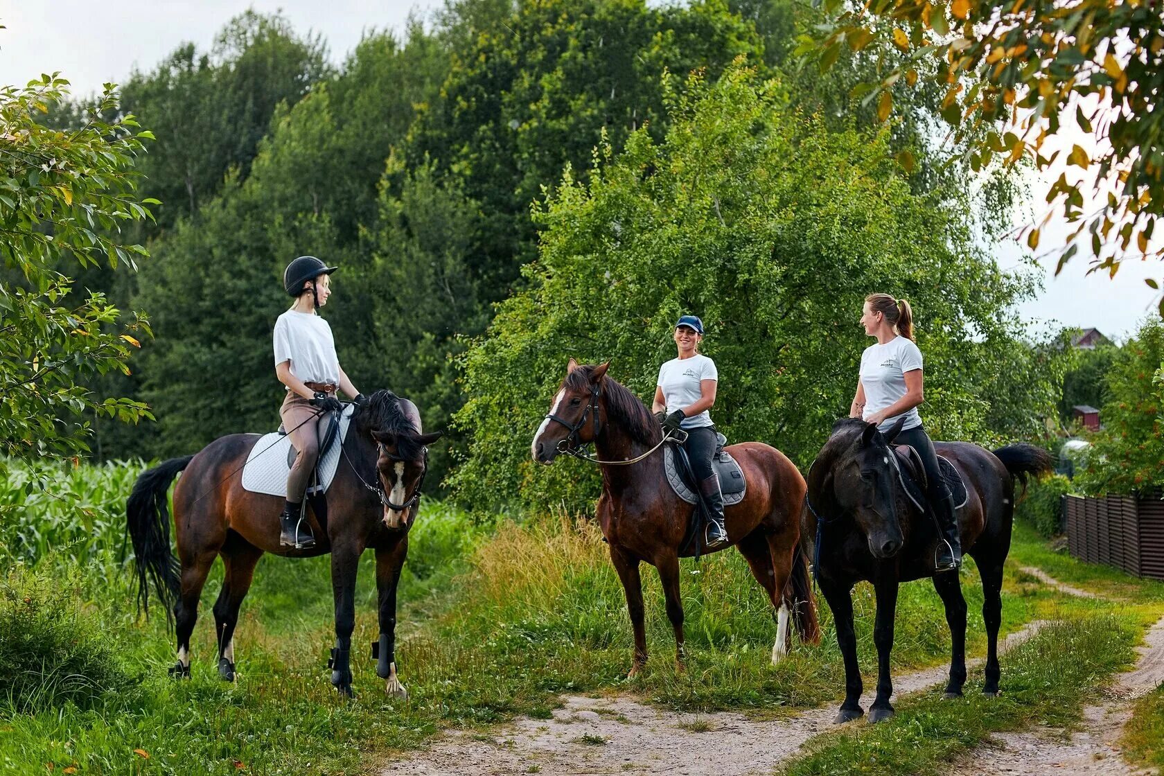 Катание на лошадках. Борисоглеб Муром конные прогулки. КСК Абрамцево. Горки-10 Одинцовский район конные прогулки. Конные прогулки в Москве.