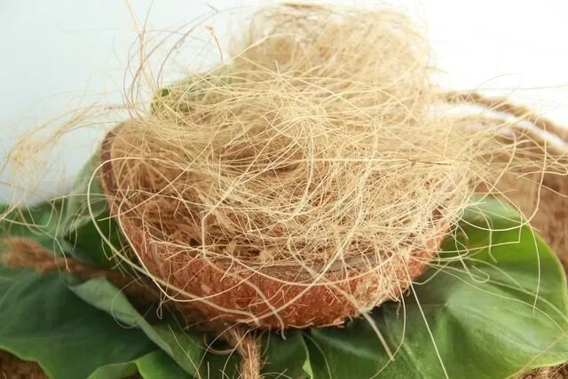 23. Субстрат кокосовые чипсы 0,7л 25шт сады аурики. /25 plant!t. Кокосовый субстрат 0,7л 25шт сады аурики 71. Кокосовая койра для растений.
