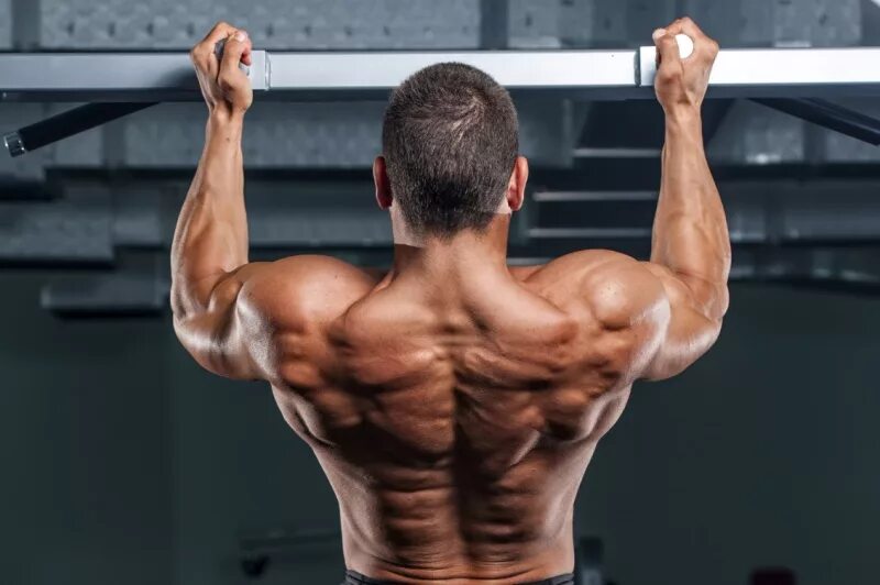 Частичные подтягивания средним обратным хватом. Подтягивания супинированным хватом. Подтягивания в гравитроне обратным хватом. Подтягивания параллельным хватом мышцы. Мышцы при подтягивании параллельным хватом.