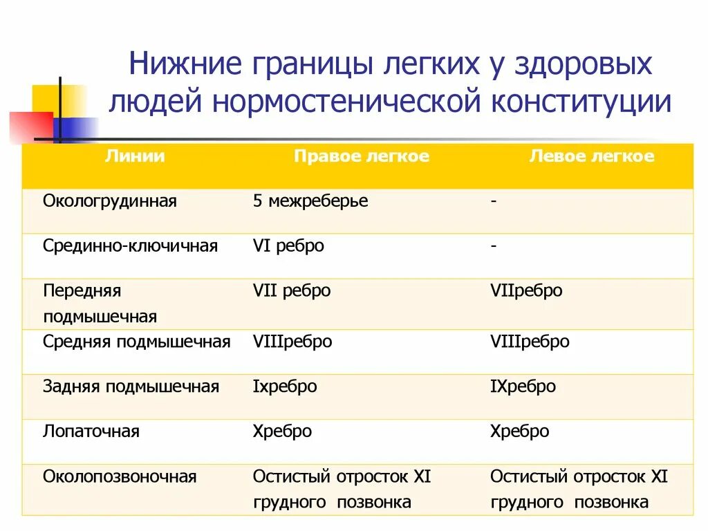 Границы правого и левого легкого таблица. Нижние границы легких в норме таблица. Нижние границы легких в норме. Перкуссия легких границы норма таблица.