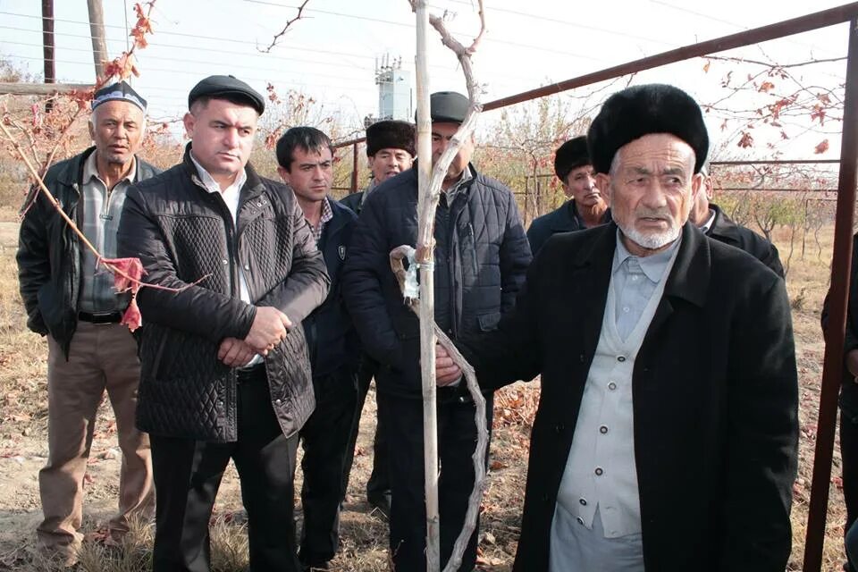 кабодиён. навруз в узбекистане 2021. погода таджикистан кабадиян. навруз в худжанде 2022. таджикистан, хатлонская область, кубодиёнский район.