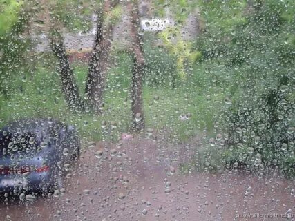 Дождь пеленой наполнил