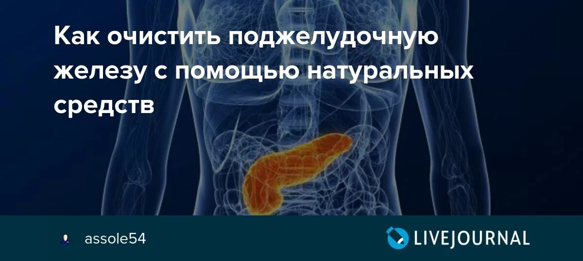 Селезенка народные средства. Очищение поджелудочной железы. Очищаем поджелудочную железу. Как очистить поджелудочную. Как чистить поджелудочную.